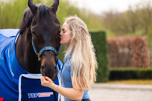 Welk halster past bij jouw paard? Tips voor maat, materiaal en comfort