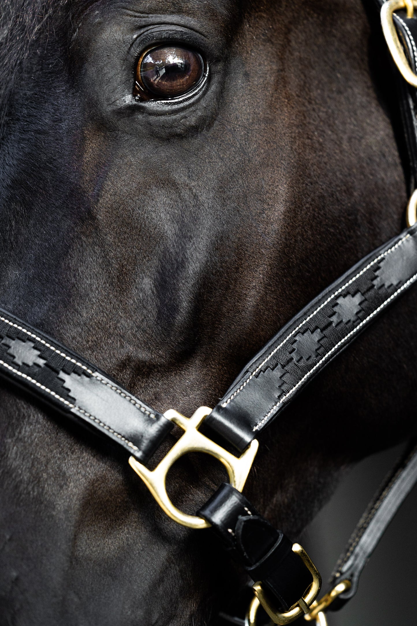 Leren Halster Polo Zwart