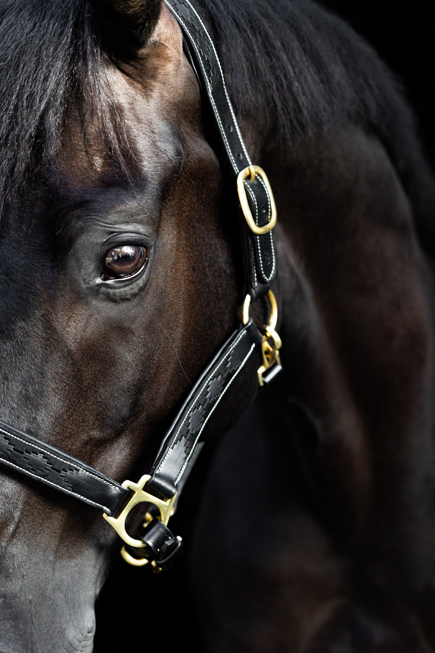 Leren Halster Polo Zwart