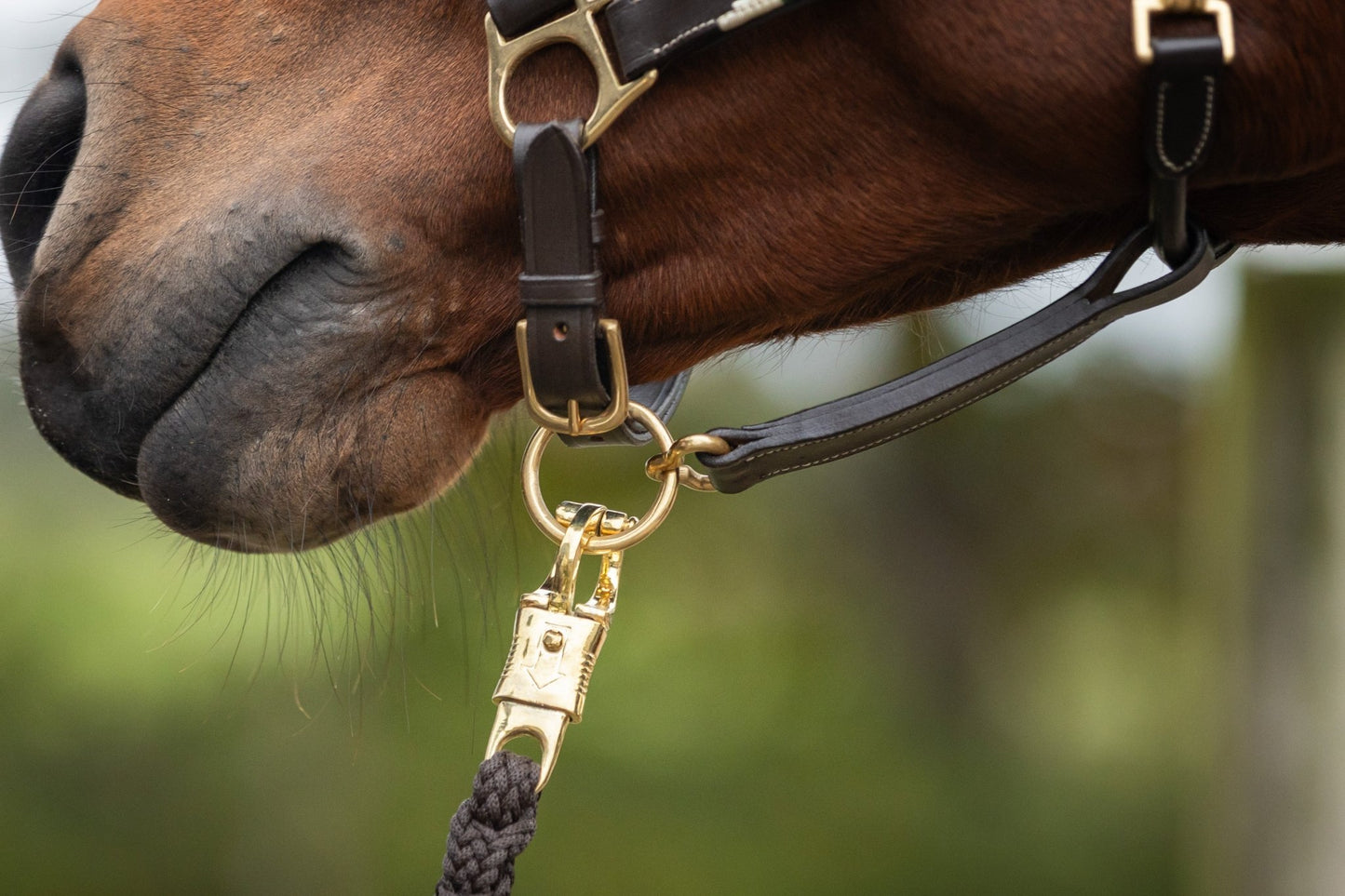 MTB Equestrian - Bruin - Goud Halstertouw met Safetyclip -