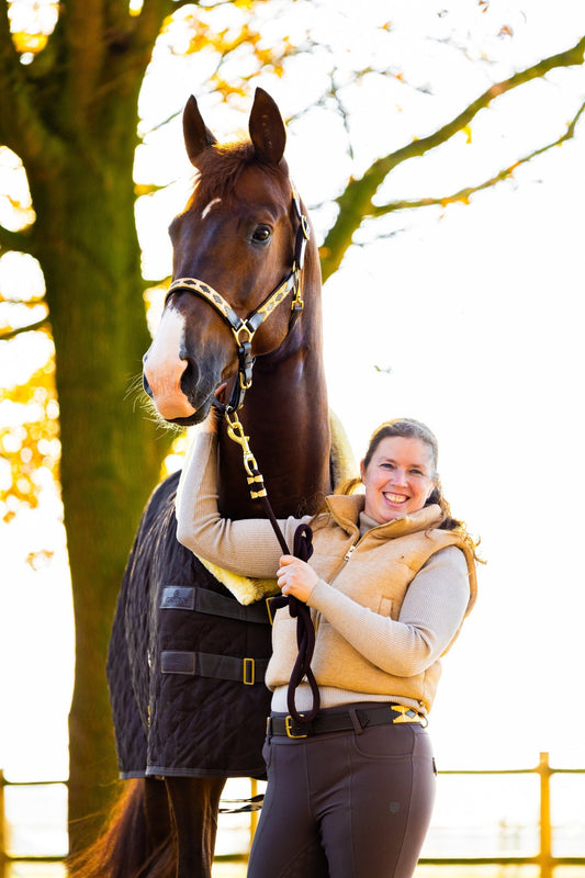 Nieuwe kleuren, nieuwe favorieten, en we zijn nog niet klaar! - MTB Equestrian