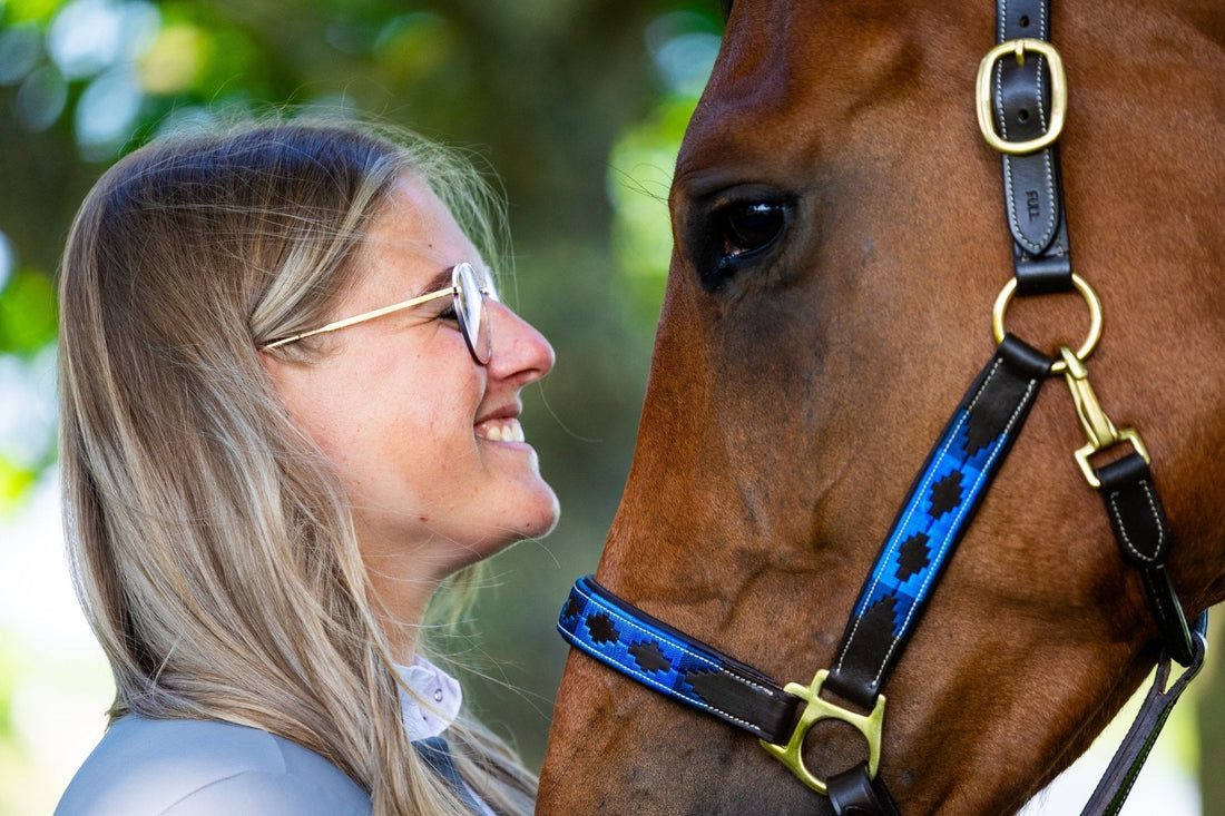 Waarom leer het fijnste materiaal is voor een halster voor paarden - MTB Equestrian