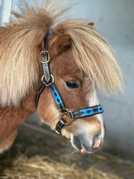 Shetlander Halster Polo