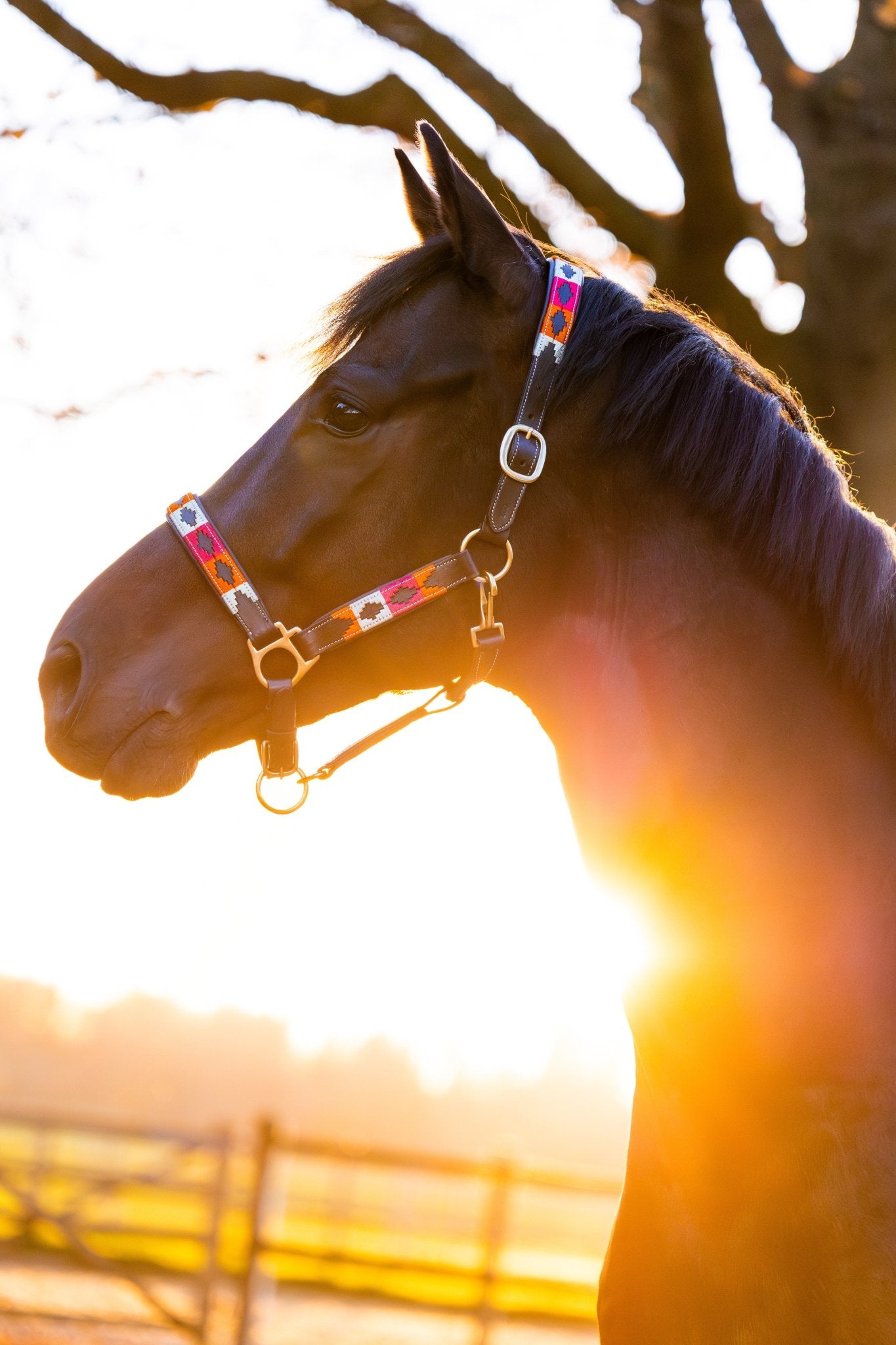 MTB Equestrian - Blossom Fever – Polo Halster - Halster