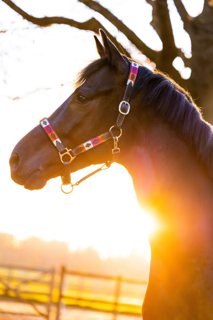 MTB Equestrian - Blossom Fever – Polo Halster - Halster