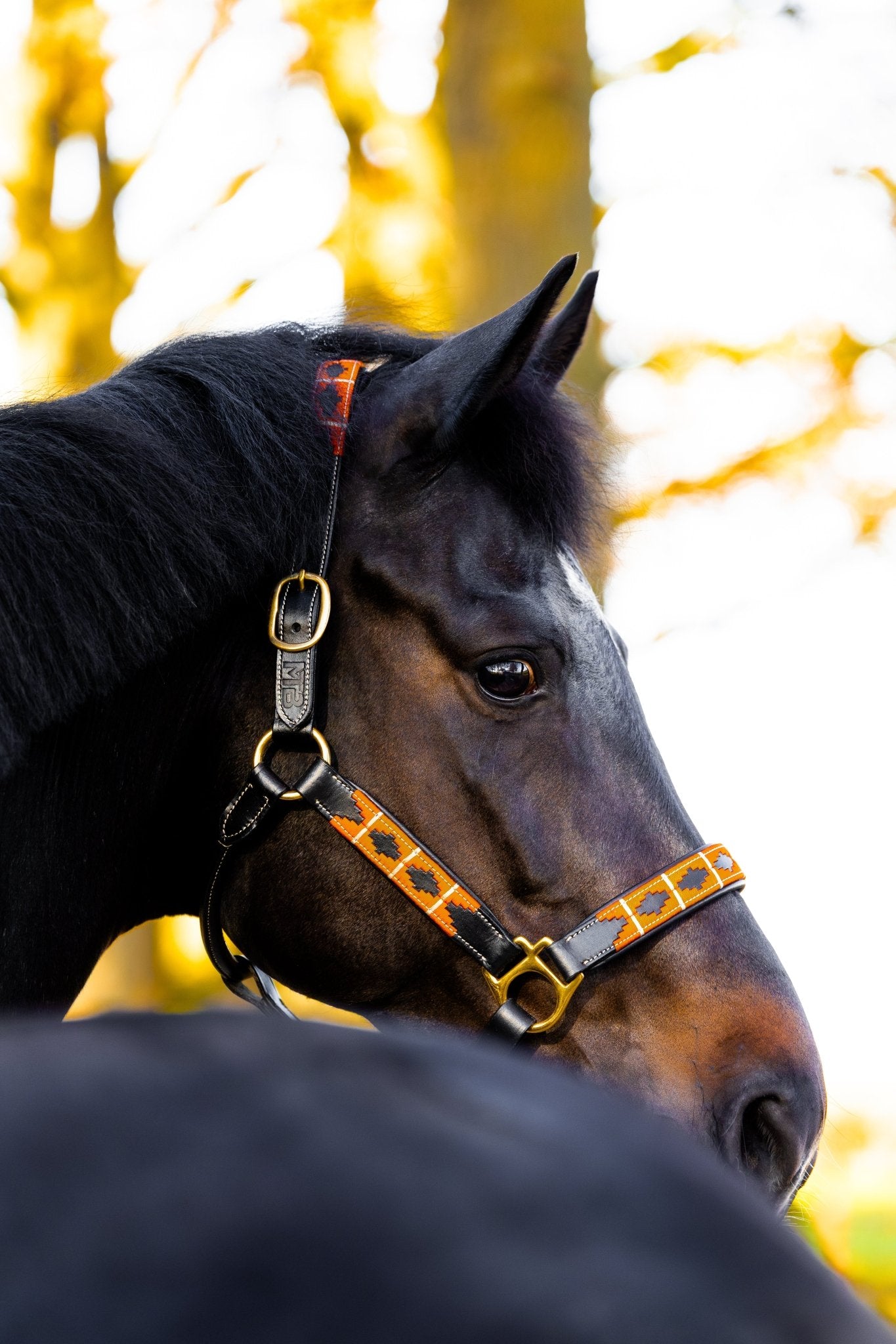 MTB Equestrian - Flaming Hot – Polo Halster - Halster