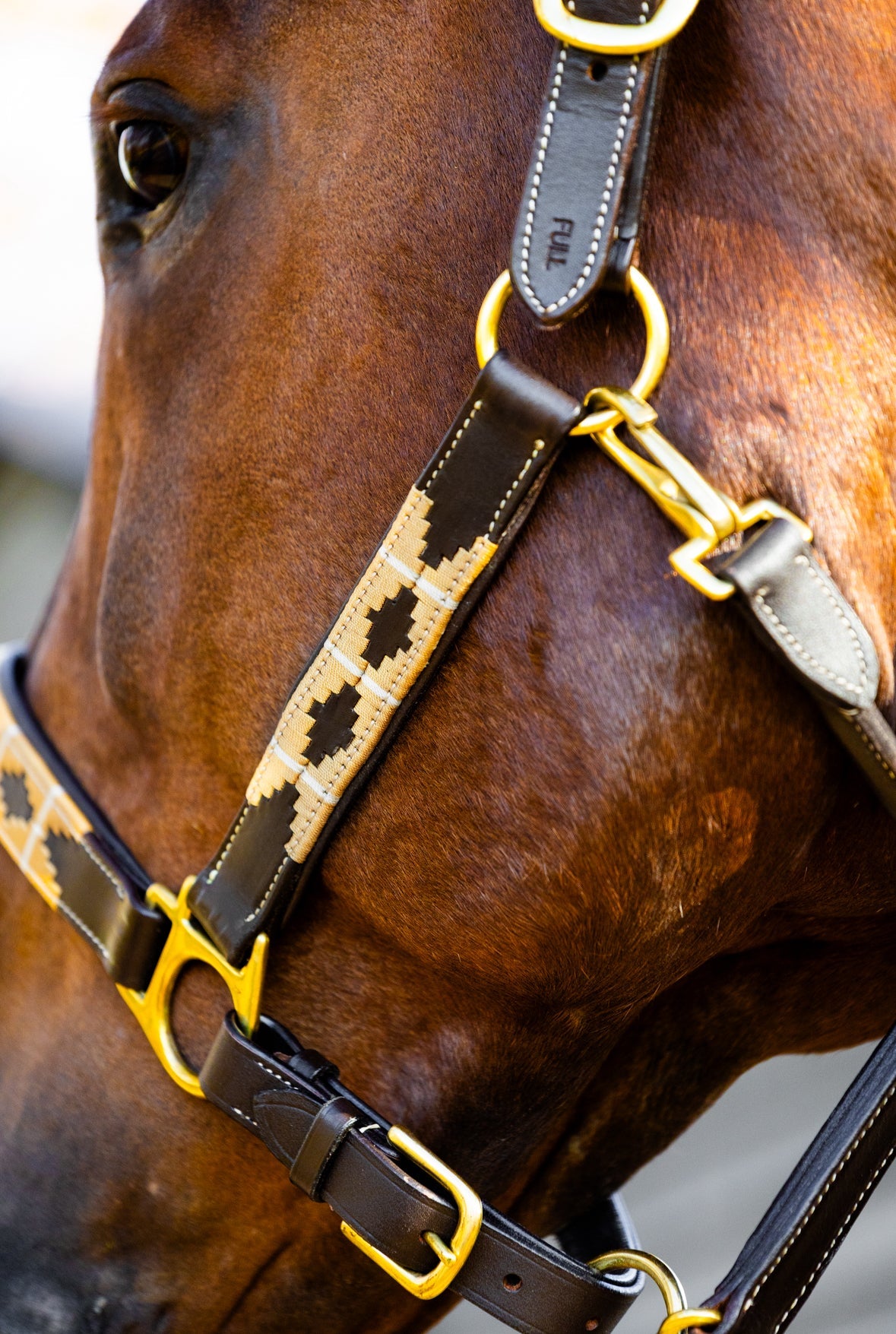 MTB Equestrian - Golden Goddess – Polo Halster - Halster