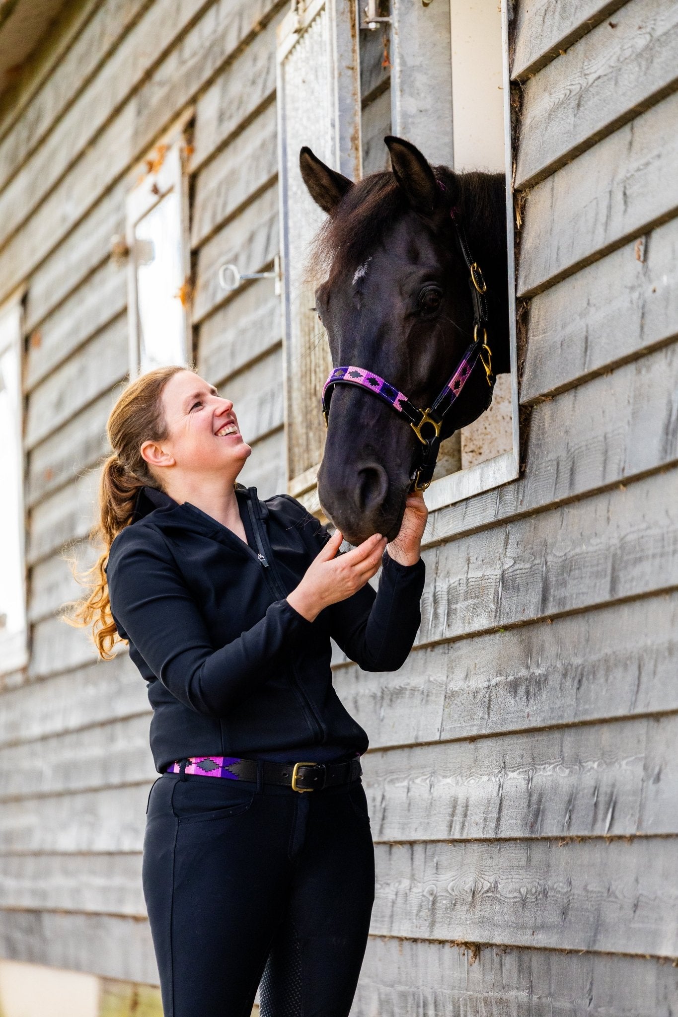 MTB Equestrian - Purple Rain – Polo Halster - Halster