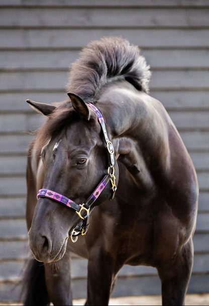 MTB Equestrian - Purple Rain – Polo Halster - Halster